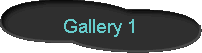 Gallery_1