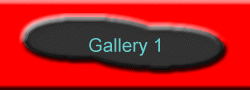 Gallery 1