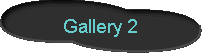 Gallery_2