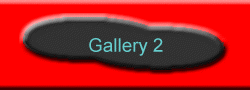 Gallery 2